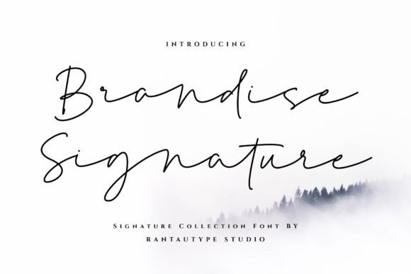 Brandise Signature: An Elegant Script for Creative Projects