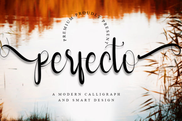 Perfecto: A Whimsical Script Font for Creative Projects