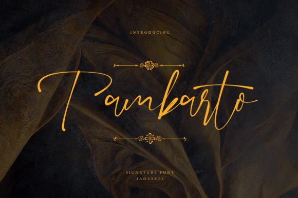 Tambarto: Where Signature Style Meets Modern Craft